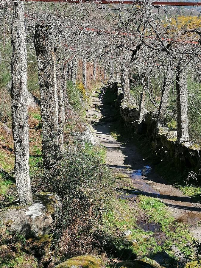 Hotel De Charme Casa Fundevila Vila Verde  Dış mekan fotoğraf