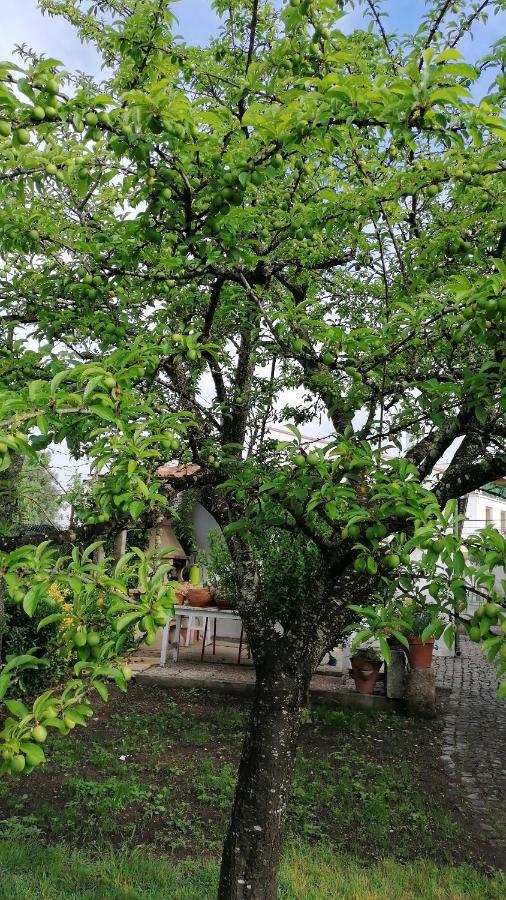 Hotel De Charme Casa Fundevila Vila Verde  Dış mekan fotoğraf